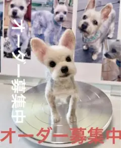 羊毛フェルト　全身像　オーダー募集中❣️犬