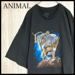 Z804アニマル半袖Tシャツビッグプリントウルフ動物系オーバーサイズ