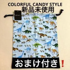 おまけ付き❗️新品未使用COLORFUL CANDY STYLE 巾着袋　恐竜柄