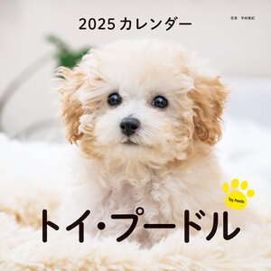 2025年カレンダー トイ・プードル (誠文堂新光社カレンダー)