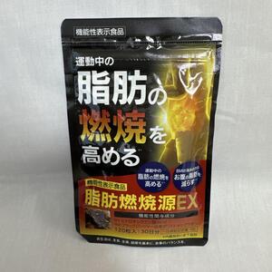 脂肪燃焼源EX 脂肪の燃焼を高める 120粒 30日分