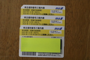 【送料無料】ANA株主優待券 3枚セット 2024年11月30日期限