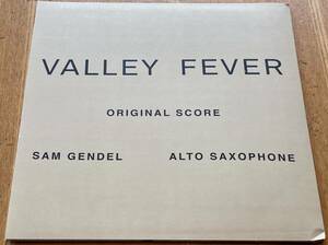 50枚限定 新品○SAM GENDEL / Valley Fever Original Score 　サム・ゲンデル inga NONESUCH SAM WILKES FRUE