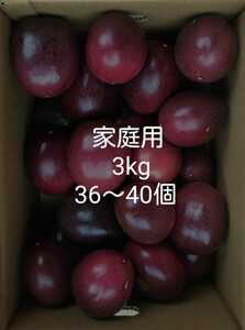 【送料無料】奄美パッションフルーツ ご家庭用！3kg【無農薬】2