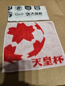 第91回　全日本サッカー選手権大会　天皇杯　オリジナル手ぬぐいとミニタオル２点セット