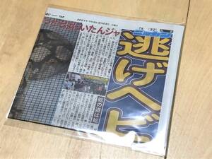 ★ 日刊スポーツ切り抜き(2021年5月23日 / 逃げヘビ発見) ★