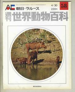 【d8741】72.4.30 週刊世界動物百科58／バビルサ、イノシシ、ブタ、イボイノシシ、… [朝日=ラルース]