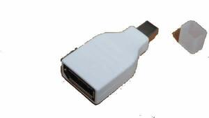 Mini Displayport/Thunderbolt to Displayport 変換アダプタ