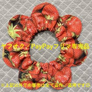 ★仔猫用ザビエルカラー FL-５R ／ 鈴入りタイプ Xavier Collar with Bell for Kitten _ Baby Cat