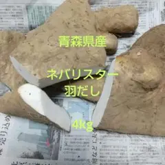 青森県産ネバリスター羽だし4kg