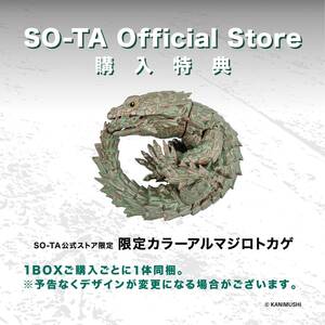 1/1タマオヤモリ&アルマジロトカゲ(SO-TA公式ストア限定カラー単品)