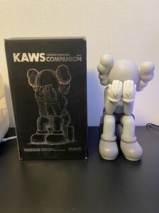 【1円スタート】 KAWSCOMPANION KAWS カウズ PASSING THROUGH フィギュア