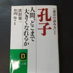 【美品】孔子 人間、どこまで大きくなれるか