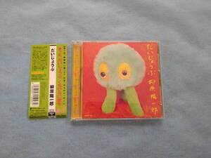 CD 柳原陽一郎　だいじょうぶ