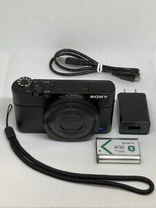 SONY サイバーショット DSC-RX100