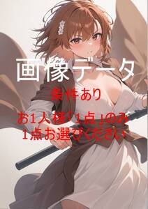 MMWR027 御坂 美琴(みかさ みこと)とある魔術の禁書目録 画像データ お一人様一点のみ(1円シリーズ全体で一点のみ) 