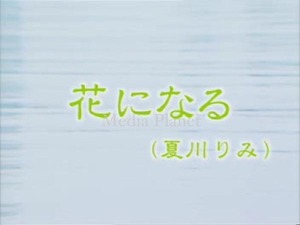 VCDカラオケ】夏川りみ*花になる 含/16曲/BMB422/mdpkrvb