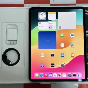 iPad Pro 13インチ 第1世代 256GB Wi-Fiモデル バッテリー100% 新品同様 中古[27725813]