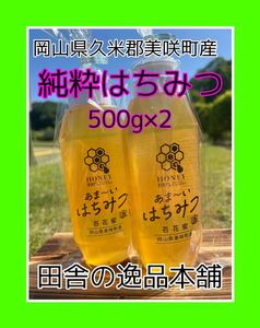 あま〜い♪おかやま産 搾りたて♪はちみつ500g×2 令和6年5月採蜜