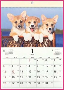 【送料無料:1冊:可愛い 「子犬」カレンダー:A4 30x21cm】★2025年:壁掛け：犬 いぬ イヌ 仔犬★暦・こよみ:12面タイプ:No2