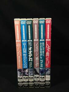 ykbd/24/1017/l600/p60/Y/3★ DVD ネイチャーシリーズ 野生の王国 6本セット/トキ ツミ イヌワシ 野鳥 オオタカ サシバ バードウォッチング