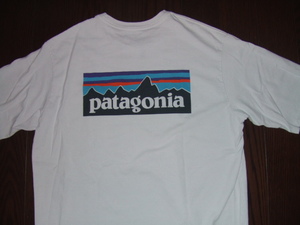 ★ patagonia パタゴニア /オーガニックコットン ポケット付きTシャツ 両面プリン / L(肩幅49cm身幅56cm着丈75㎝) ★ 