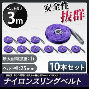 【10本セット】ナイロンスリングベルト 3m 幅25mm 荷重1000kg 1t 玉掛け ベルトスリング 吊上げ ロープ 牽引 お買得!