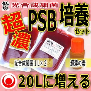 【 注目 】２０Lに増やして “ 超濃 ” 光合成細菌★培養セット★自分でふやしてPSBをたっぷり使う！（検索用：業務用,20L,18L,培基,餌,増