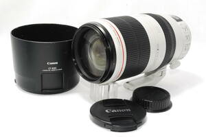 Canon キヤノン 望遠ズームレンズ EF100-400mm F4.5-5.6L IS II USM y921