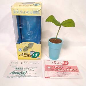 ★※ジャンク 2008年 セガトイズ ペコッぱ(水色) KYプログラム搭載 空気がよめる植物 SEGA TOYS 平成レトロ