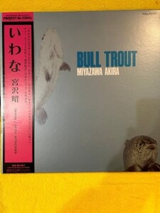 Akira Miyazawa ? Bull Trout = いわな / 宮沢昭の世界