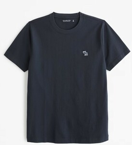 2024ss 新作!!　US限定　日本未発売 Abercrombie & Fitch Polished Elevated Icon Tee　本物をお届け!!