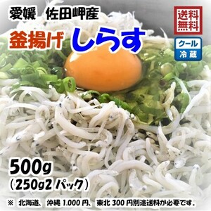 釜揚げしらす 500g （250g×2p）愛媛 佐田岬産 冷蔵便 浜から直送 無添加/無着色 送料込み 北海道/沖縄/東北は別途送料 宇和海の幸問屋