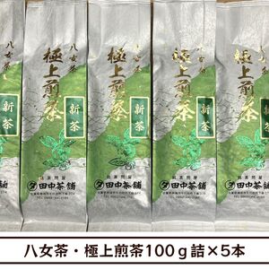 【送料無料】八女茶・極上煎茶100ｇ詰×５本（福岡県産）