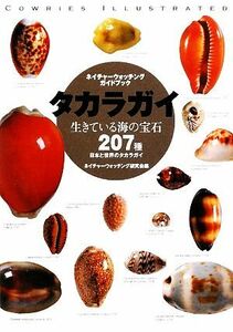 タカラガイ 生きている海の宝石　日本と世界のタカラガイ２０７種 ネイチャーウォッチングガイドブック／ネイチャーウォッチング研究会【編