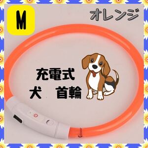 LEDライト首輪 USB充電式　オレンジ　M ペット　カット可　犬　猫　夜　散歩