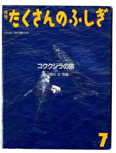 E431★月刊たくさんのふしぎ「コククジラの旅」1988年7月号/水口博也 文・写真　/通巻40号/福音館書店　（2408）