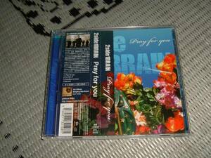 2side1brain/pray for you/FEAR FROM THE HATE・ARTEMA・LOST