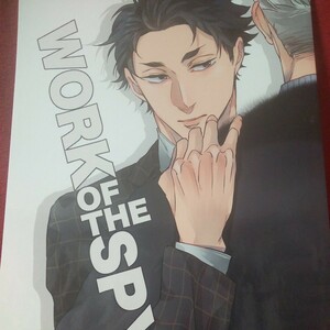 VAINOIT/脚生ショウ 「WORK OF THE SPY」兎赤　ハイキュー！！同人誌