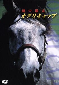 オグリキャップ 激闘の真実/(競馬)