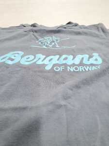 Bergans of Norway ベルガンス ノルウェー　ノローナ　Norrona Haglofs 半袖 グレー系