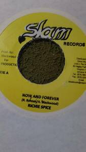 Pretty Looks Riddim Now And Forever Richie Spice from Slam records