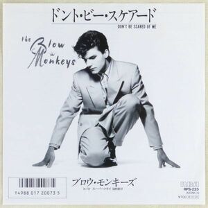 ■ブロウ・モンキーズ(The Blow Monkeys)｜ドント・ビー・スケアード Don