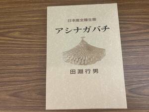 日本産全種生態 アシナガバチ / 田淵行男