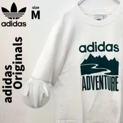 ☆激レア adidas Originals Tシャツ 質感 厚め ほぼ未使用