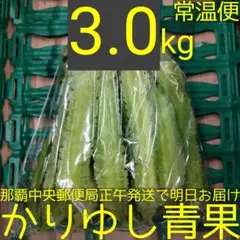 沖縄県産 うりずん豆（琉球四角豆）約３kg 【常温便】②