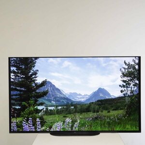 SONY ソニー ブラビア 55インチ 4K 有機ELテレビ KJ-55A9G 2019年製 リモコン付き Android TV【直接手渡し限定】▼861h07