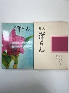 原色 洋らん　園芸植物大観3　江尻光一宇田川芳雄　1973年昭和48年【z105878】