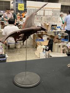 ワンフェス2024夏 モンスターメーカー28 ギャオス 飛行バージョン ガレージキット ガメラ 大怪獣空中決戦 MM28 レジンキット WF2024S