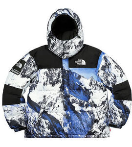 国内正規品 SUPREME THE NORTH FACE MOUNTAIN BALTORO JACKET シュプリーム ノースフェイス マウンテン バルトロ [13]